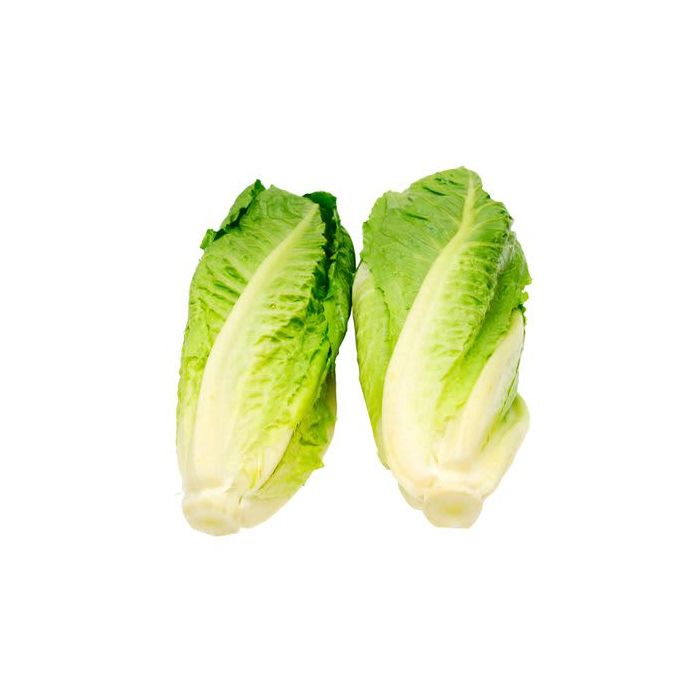 Romaine Lettuce