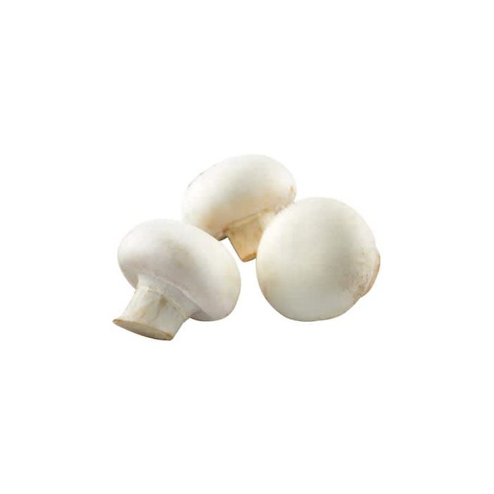 White Mushrooms