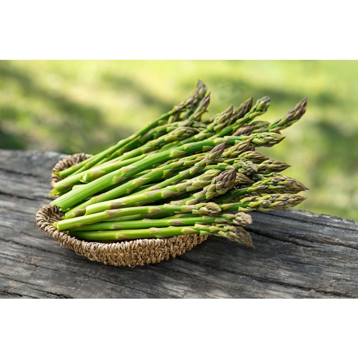 Asparagus