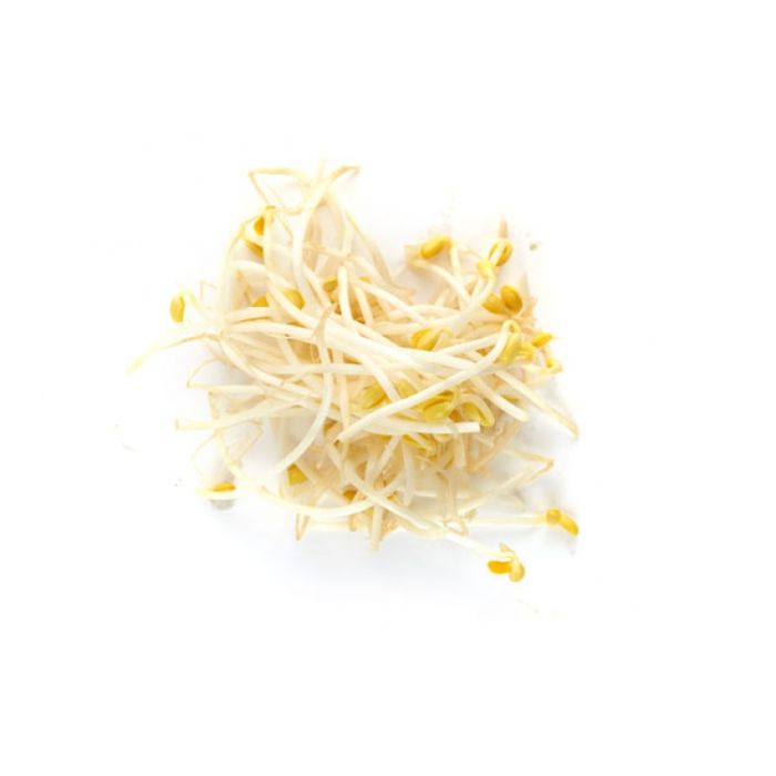 Bean Sprouts