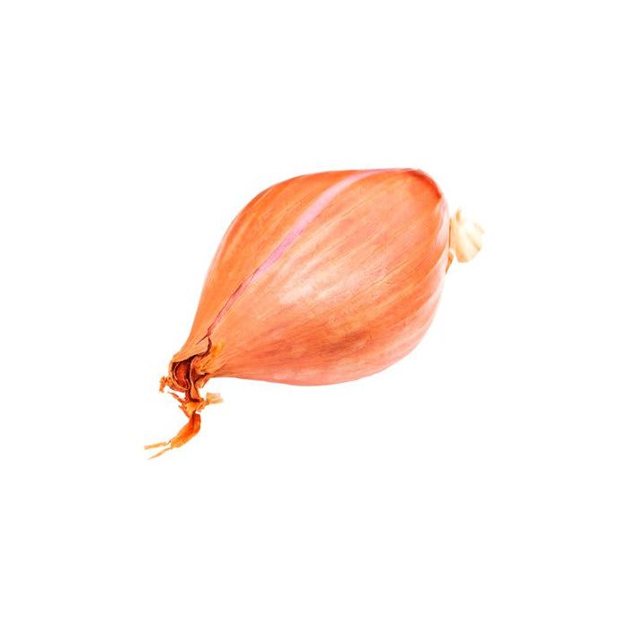 Shallot