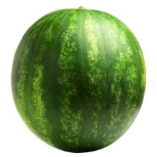 Seedless Watermelon